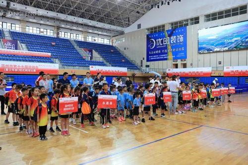 龙港草根新闻爆料事件最新,揭秘背后真相与网络舆论风暴